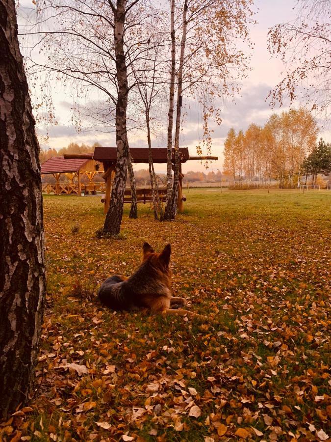 Rajskie Siedlisko Smykow エクステリア 写真
