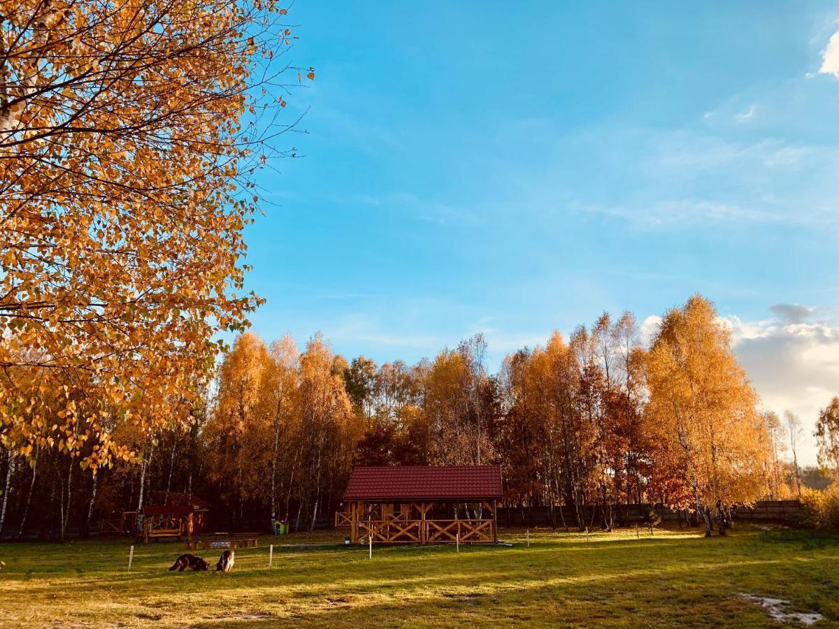 Rajskie Siedlisko Smykow エクステリア 写真
